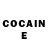 COCAIN Fish Scale Sigmar Treumann