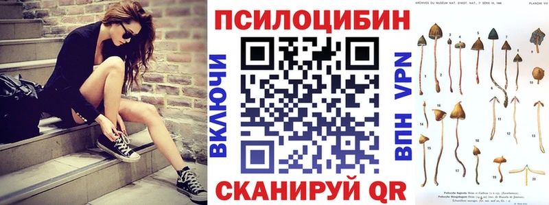 Галлюциногенные грибы ЛСД  магазин продажи наркотиков  Межгорье 